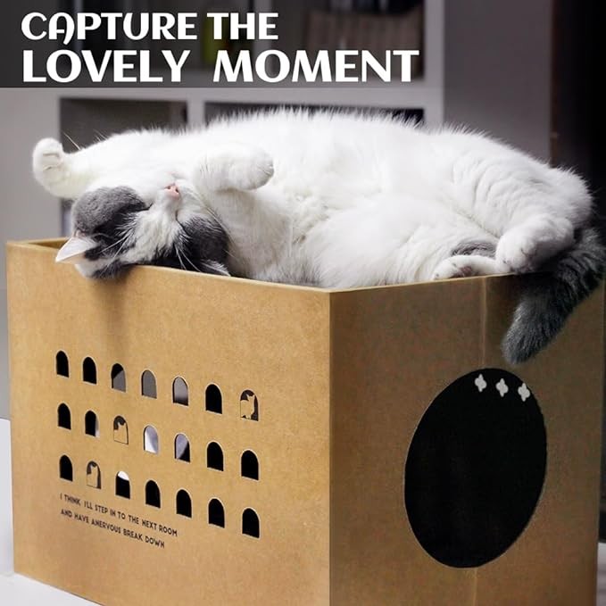 Cat Cardboard House with 2 PCS Scratching Pads,Large Cat Scratcher Bed Cat Scratchers Lounge for Indoor Cats with Corrugated Board Detachable Cat Scratcher Box for Cats.(Cactus)