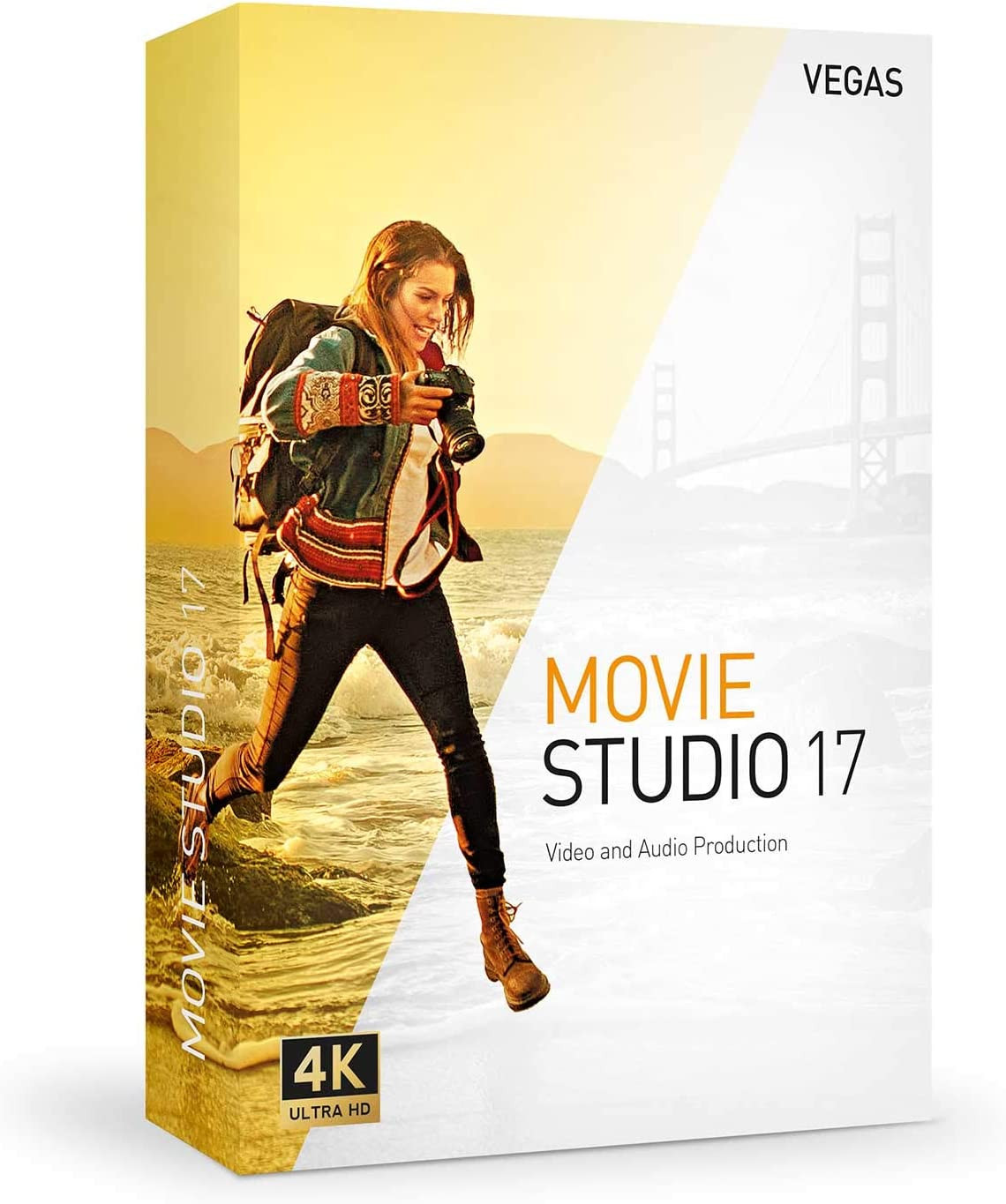 VEGAS Movie Studio 17